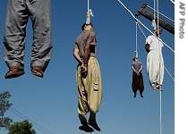 Iran: Più di 700 parlamentari di 25 paesi supportano l´invito di Rajavi a condannare le esecuzioni Image