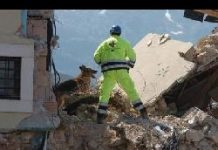 condoglianze di Maryam Rajavi al presidente del consiglio italiano per il tragico terremoto Image