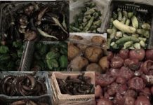 Iran – Iraq: Per la quarta settimana consecutiva Le forze di Maliki continuano a vietare l’ingresso del carburante e del cibo a Camp Liberty