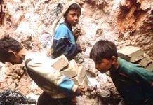 I bambini-lavoratori guadagnano 8-9 dollari al giorno. Raccolti 1370 bambini di strada negli ultimi sei mesi