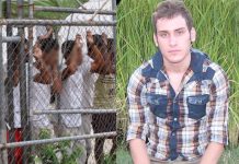Suicidio di un richiedente asilo iraniano in Australia