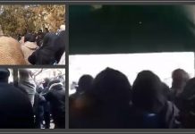 Proteste in Iran: il popolo di Sanandaj manifesta al grido di “Khamenei è un assassino” e “Abbasso l’oppressore, che sia lo Scià o che sia il Leader supremo”