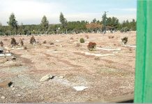 Iran: Appello internazionale per evitare la distruzione delle tombe dei martiri del massacro del 1988 a Khavaran e l’eliminazione di prove del crimine contro l’umanità