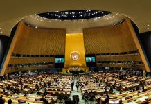 Onu: Terzi, lettera ambasciatori, tributo a Raisi un affronto